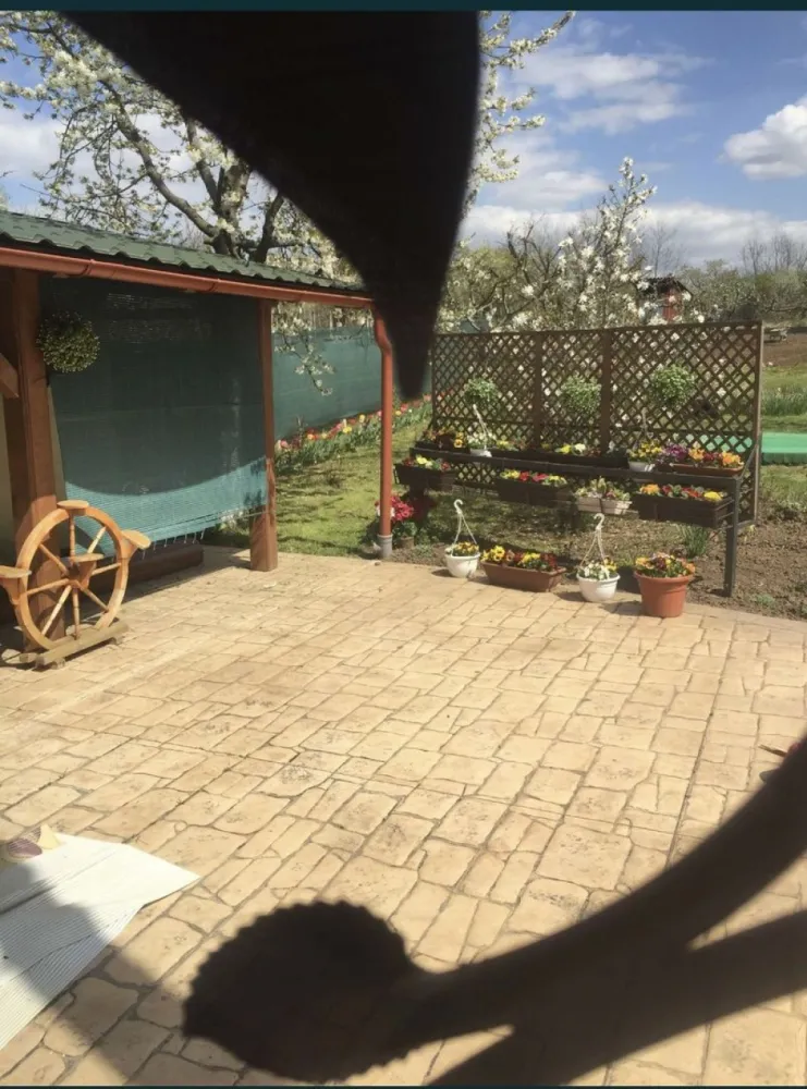 Casa la cheie 4 camere Carei gradina viilor - Se ofera spre vanzare casa de locuit cu beci, parter, si cu mansarda, in Carei, Gradina Viilor, Valea Tireamului. Casa este construita din BCA si caramida, izolata cu polistiren de 10cm. Este situata intr-o zona linistita, fara sa aiba contact cu cladirile invecinate. La subsol exista pivnita de 12mp, cu intrare rustica, din lemn, aerisire, temperatura ideala pentru vinificatie, dar si pentru pastrarea alimentelor pe timp de iarna si vara. Parterul este alcatuit dintr-o bucatarie spatioasa, cu loc de servit masa, complet mobilata si utilata, trei camere, doua holuri, o camara si doua bai. Mansarda este compusa din camera de recreere, doua dormitoare, o baie, spatiu de depozitare care poate fi utilizat si cu destinatie de dresing. In continuarea casei se afla o terasa exterioara cu inchidere completa prin jaluzele telecomandate, care pot functiona independent pe fiecare parte, spatiu pentru barbeque, grill si plita, care poate functiona si pe post de bucatarie de vara.Acces la 2 strazi ,Front la strada 15 metri-2 porti de intrare din care cea principala este automatizata la telecomanda , in continuare o suprafata de beton amprentat de 300mp, unde pot fi parcate cel putin 4 autoturisme. Langa aceasta parcare betonata exista o casuta din lemn care a fost folosita pe post de depozit, si care renovata poate functiona ca si casa de joaca pentru copii. Langa terasa exterioara se afla o constructie pentru depozitarea uneltelor necesare la intretinerea gradinii. Teren total 2200mp, suprafata casei 122mp la parter, respectiv 90mp la mansarda. Casa este racordata la reteaua de gaz, apa si canalizare a orasului, respectiv in beci este hidrofor cu posibilitate de a folosi doar apa din fantana pt irigat sau consum. Incalzirea si apa calda este asigurata prin centrala proprie pe gaz viesmann in condensare. Usi termopane atat in interior cat si in exteriorul casei, respectiv geamuri termopane prevazute cu plasa de tantari si gratii ornamentale, sistem de aer conditionat atat la parter cat si la mansarda.,Toate s-au efectuat cu autorizatie de constructie si notate in CF respectiv casa si foisorul cu grill.Cf+ul este liber de sarcini.