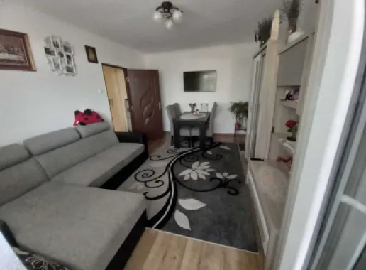 Apartament cu 2 camere pe Drumul Careiului