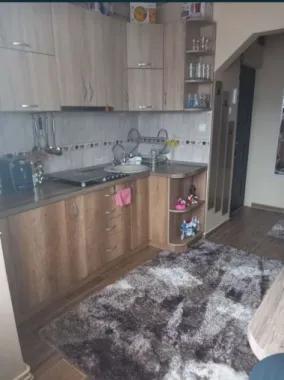 Apartament cu 2 camere pe Drumul Careiului