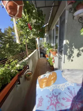 Apartament cu 2 camere pe Drumul Careiului