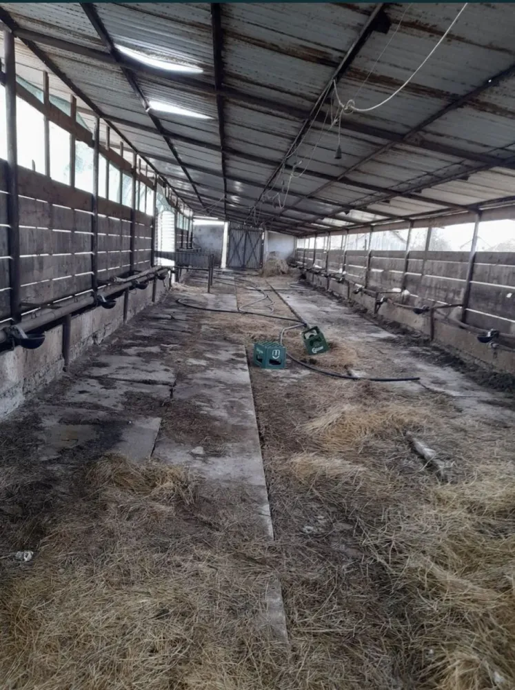 Vand casa cu grajd si teren in Satu Mare Com Craidorolot Jud Satu Mare 2