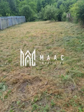 BLACK FRIDAY I Casa 3 camere I 1000 mp Teren I Amnas