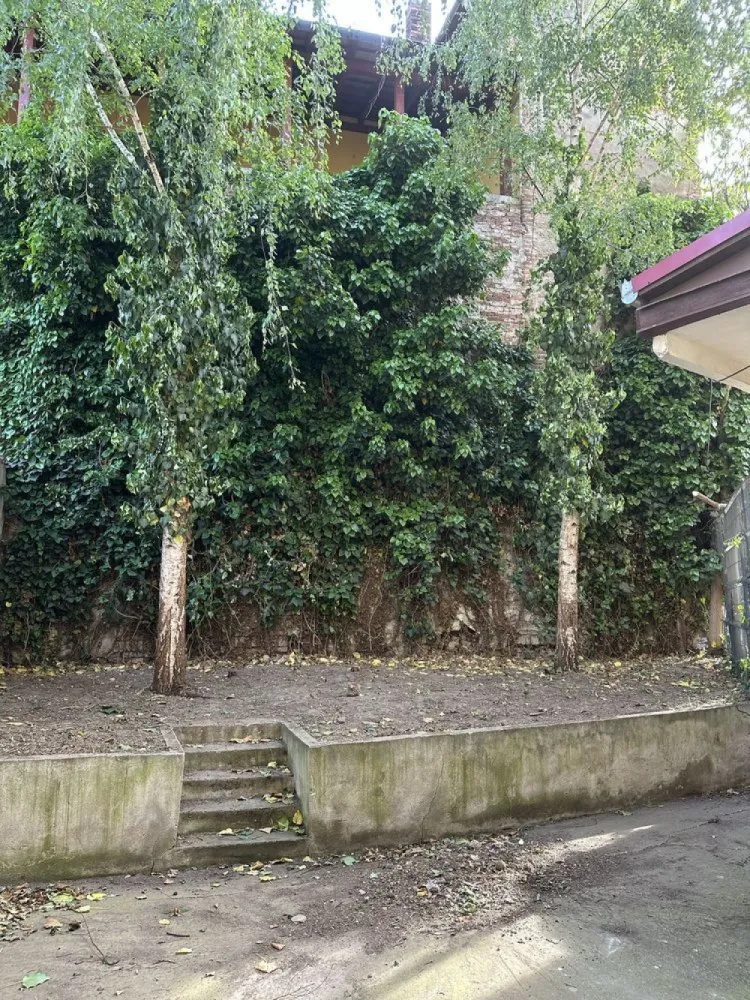 BRASADAS vinde ap 2 cam zona ultracentrala.