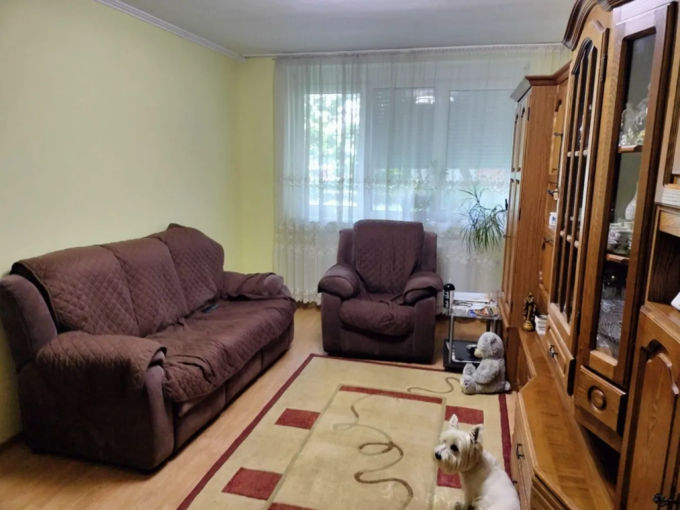 ageuropa.ro vinde apt. 3 cam. 73mp la PARTER in Micro 15. - Agenția EUROPA vinde apartament din CARAMIDA cu trei camere, avand suprafata utila de 73mp la PARTER în Micro 15. Apartamentul are beci si loc de parcare. Pentru a studia ofertele noastre, va rog sa accesați: www.ageuropa.ro.