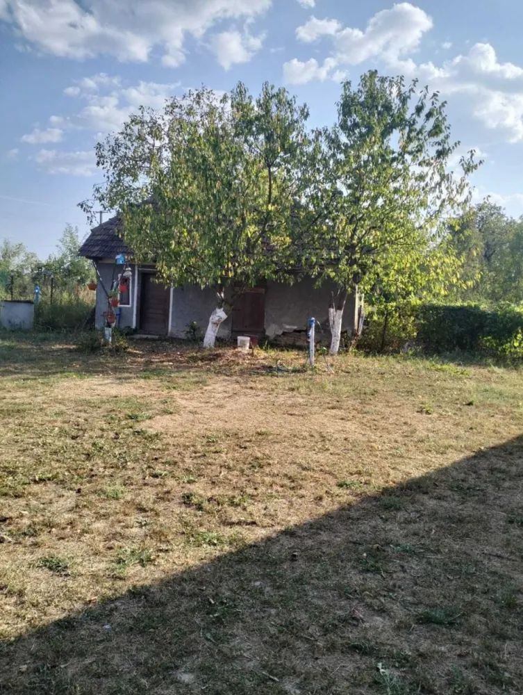 Casa 81mp, teren 81 ari, anexe, pomărie tânără de meri de vânzare