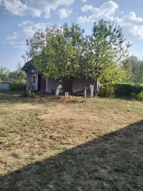 Casa 81mp, teren 81 ari, anexe, pomărie tânără de meri de vânzare
