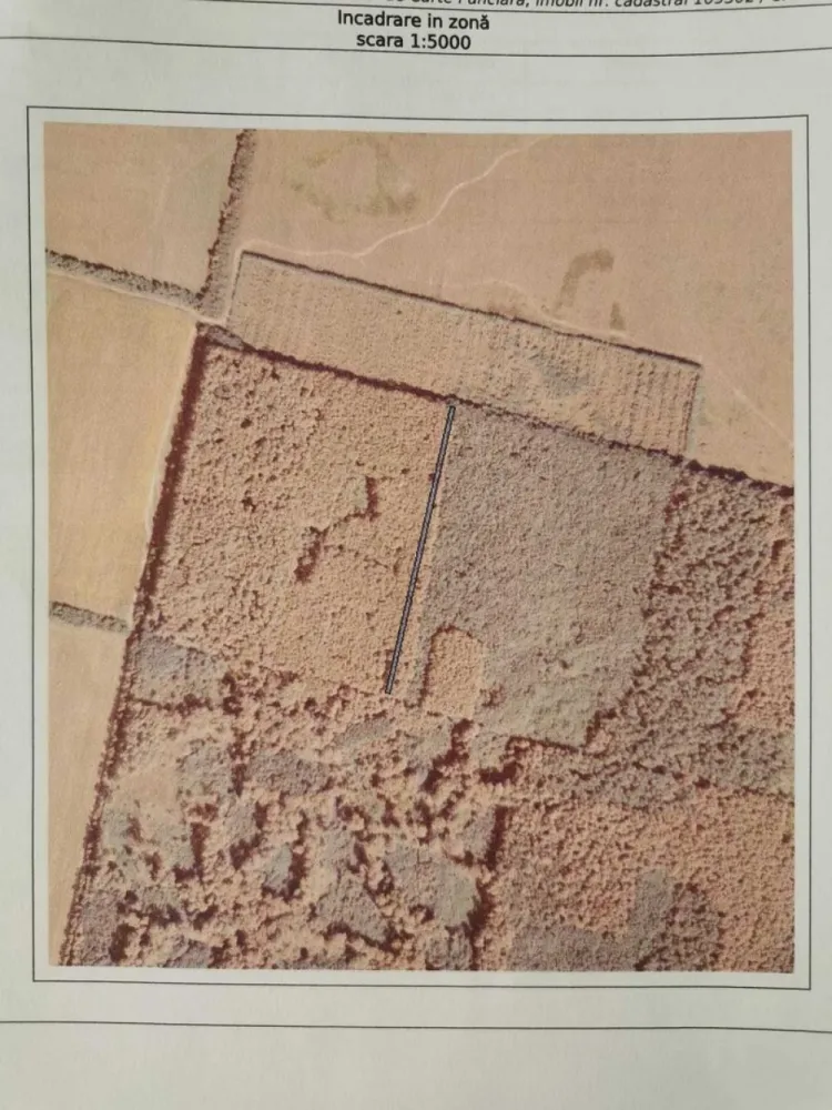 Teren arabil si padure de vanzare - Vand teren extravilan, arabil, in suprafata totala de 1.65 hectare (doua parcele invecinate, una de 11.400 mp si una de 5.100 mp, situate in localitatea Ardud, si parcela padure, in supratafa de 2.200 mp, tot in localitatea Ardud.