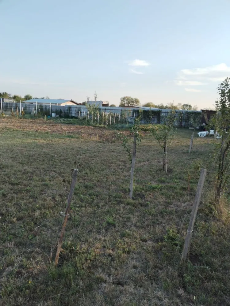 Vand teren intravilan Balta Blonda - Vând 6 arii în zona Balta Blondă la câteva minute de oraș datorită centurii Terenul este INTRAVILAN Este îngrădit, cu drum de acces și utilități în apropierea terenului Toate actele sunt la zi, fără probleme 3200€/ arie Pentru alte detalii răspund în privat