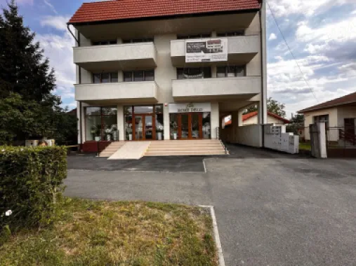 BRASADAS vinde ap 2 cam NOI Careiului.