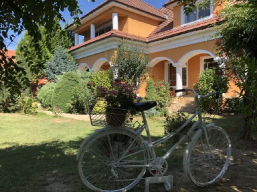 Casa Păuleștiului ocazie