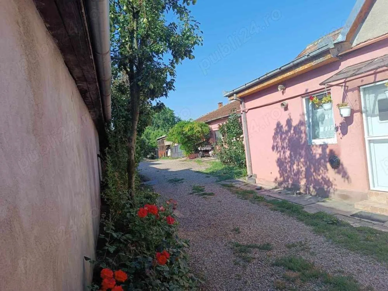 De vânzare casă familială. - De vânzare casă familială în Satu Mare pe strada B-dul Unirii. Are 5 camere, 2 bucătărie, 2 cămară, 2 baie și 2 hol cu 3 intrări separate. Este introdus apă, gaz, curent și trifazic și canalizare. Teren total 1104 mp cu curte și 10 ari grădină. Toate actele sunt la zi. Prețul este în Euro și ușor negociabil.