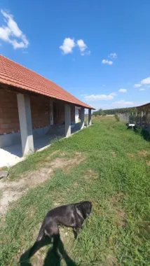 Vând casă în Gelu