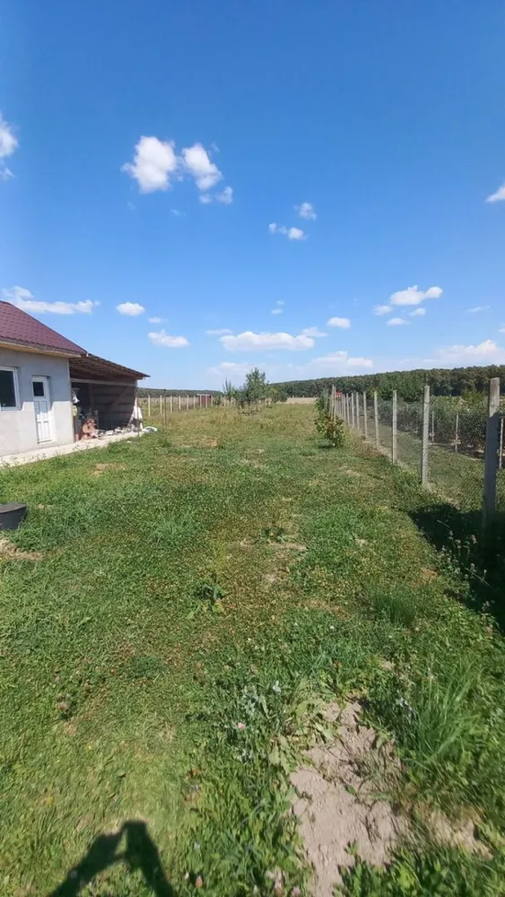 Vând casă în Gelu - Vând casă în localitarea Gelu,construită în anul 2020,în suprafață de 108 mp,2 camere,hol,baie,bucătărie,cămară de alimente,curent,apă,canalizare,faianță,gresie,geamuri,uși termopan,mobilat,gazul urmează să se introducă,respectiv o bucătărie de vară în suprafață de 32 mp,si anexă gospodărească.Suprafața totală 1284 mp.