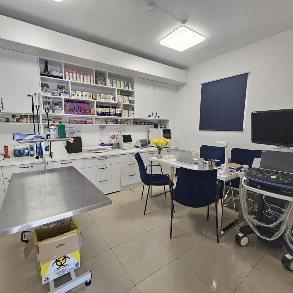 OCAZIE Spatiu Comercial Herastrau/Aviatiei