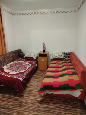 BRASADAS vinde ap 2 cam PARTER pe Botizului.