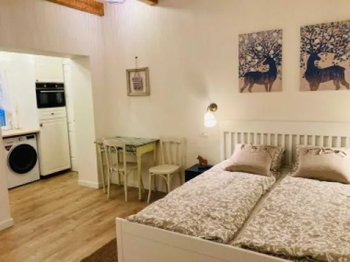 Cladire cu 2 studiouri Cluj-Napoca, Strada Horea – ideală investiție