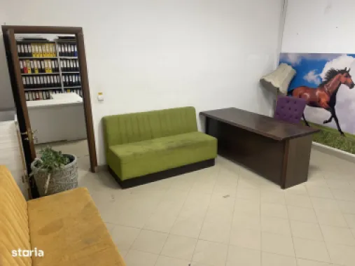 BRASADAS vinde Apt / Sp comercial + curte, zona Titulescu.