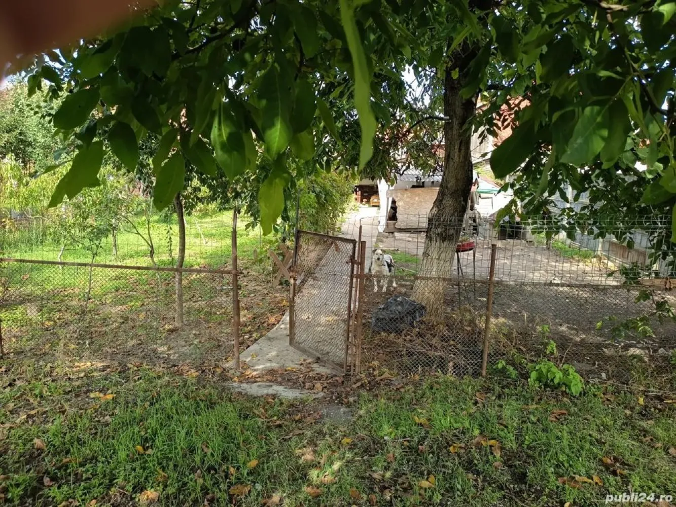 BRASADAS vinde casă 4 cam zona UNIO pentru două familii. - Agentia Imobiliara BRASADAS vinde casă pentru două familii in zona Unio , stradă liniștită, cu trafic redus . Casa are 4 camere, două bucătării, două băi, terasă 14 m pătrați, bucătărie de vară, beci, atelier utilat cu acces auto de la stradă și dinspre grădină . Suprafață utilă 117 m pătrați plus bucătăria de vară, suprafață teren, 468 mp cu posibilitate de extindere cu încă 70 mp (continuarea grădinii până la strada din spate), posibil încă un loc de casa. www.brasadas.com.