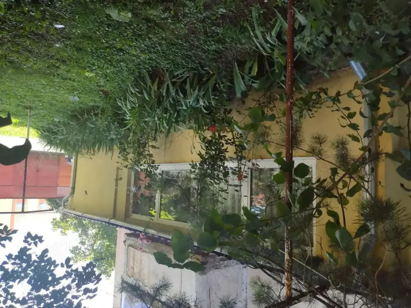 BRASADAS vinde ap 2 cam in Micro 15 la PARTER. - Agenția imobiliara BRASADAS vinde ap 2 camere la PARTER cu terase inchise lá bucatarie sí camera garderoba lá camera mica, cu suprafata 64 mp cu posibilitate de afacere avind o usa spre strada. Izolat interior sí exterior, cu toate utilitatile. Renovat cu geamuri termopan. Se accepta schimb cu garsoniera la parter sau la etajul 1 plus diferenta. Www.brasadas.com.