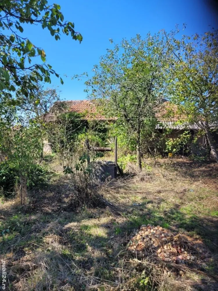 BRASADAS vinde casa in Moftinul Mare.