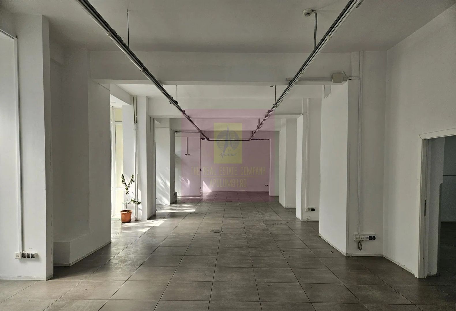 Spatiu comercial Calea Serban Voda, 261 mp, vitrina 20ml, stradal