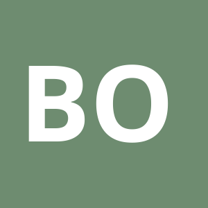 Agent Borcos Oana